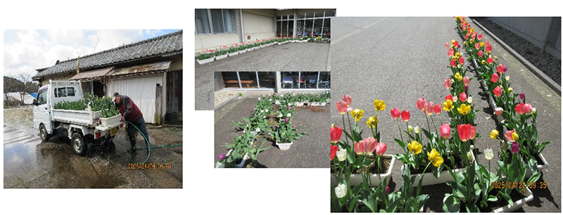 満開・納品の様子