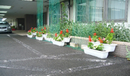 「ヒルトップくしがた」に植栽したプランター