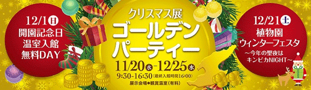 新潟県立植物園　企画展示「クリスマス展～ゴールデンパーティー～」