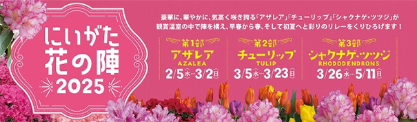 新潟県立植物園 企画展示「にいがた花の陣2025第３部シャクナゲ・ツツジ」