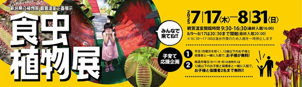 企画展示「食虫植物展」
