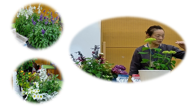 講師:中野繁子先生