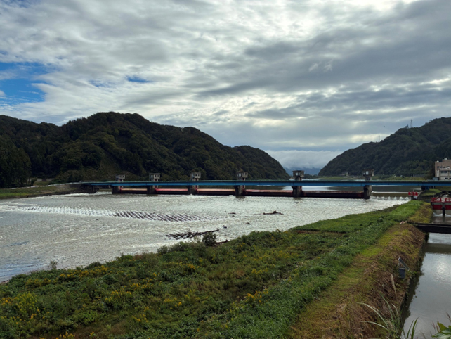 荒川頭首工の全景(左岸側下流から上流を望む)