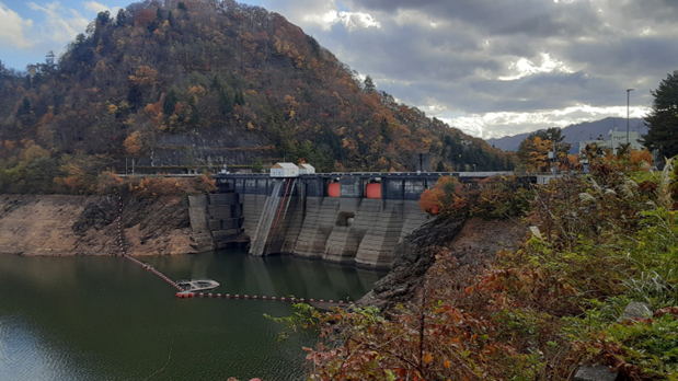 荒川頭首工の全景(左岸側下流から上流を望む)