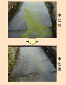 環境用水の効果